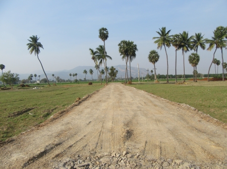 10) Li Id : 192 - Pic 11.JPG